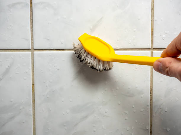 Best Fast Mold Removal  in Ava, MO