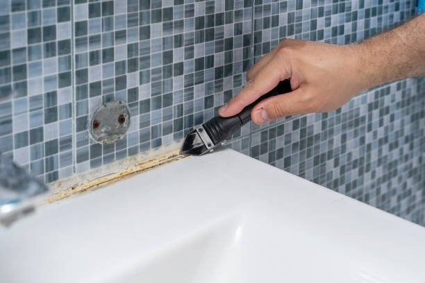 Best Professional Mold Removal  in Ava, MO