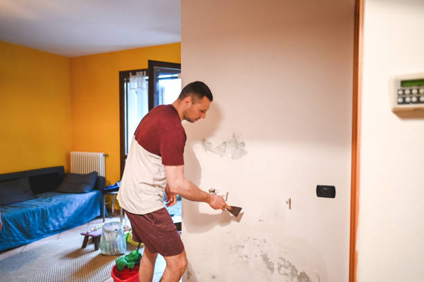 Attic Mold Removal in Ava, MO